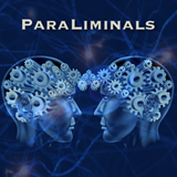 Paul Scheele – Paraliminal Resets