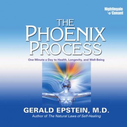 Gerald Epstein – The Phoenix Process