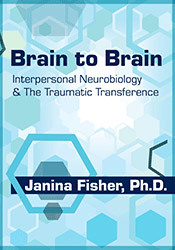 Janina Fisher - Brain to Brain - Interpersonal Neurobiology & The Traumatic Transference