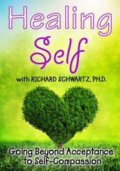 Richard C. Schwartz - Healing Self - Going Beyond Acceptance to Self-Compassion