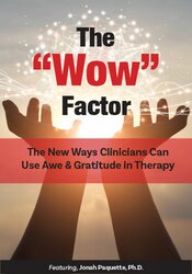 Jonah Paquette - The “Wow” Factor - The New Ways Clinicians Can Use Awe and Gratitude in Therapy