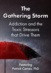 Patrick Carnes - The Gathering Storm - Addiction and the Toxic Stressors that Drive Them