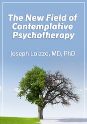 Joseph Loizzo - The New Field of Contemplative Psychotherapy