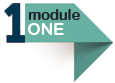 Module 1