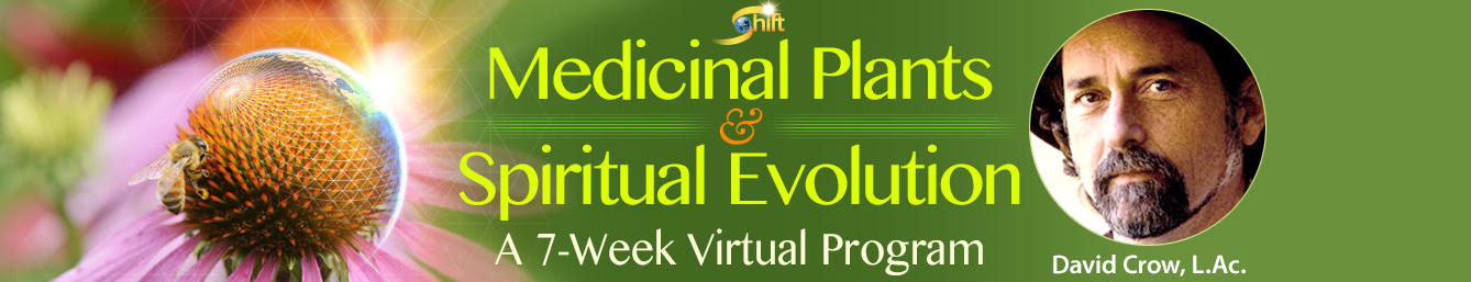 David Crow – Medicinal Plants & Spiritual Evolution 2.0