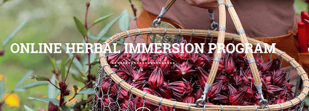 Online Herbal Immersion Program