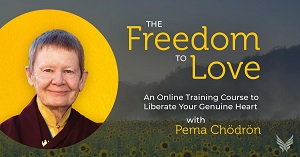 Pema Chödrön - The Freedom To Love