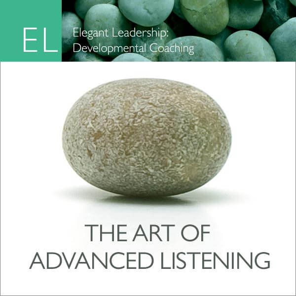 Rob McNamara - The Art of Advanced Listening