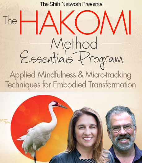 The Hakomi Method Essentials Program Applied Mindfulness & Micre-tracking Teachniques For Embodied Transformation