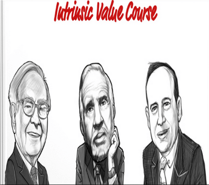 The Investors Podcast - Intrinsic Value Course