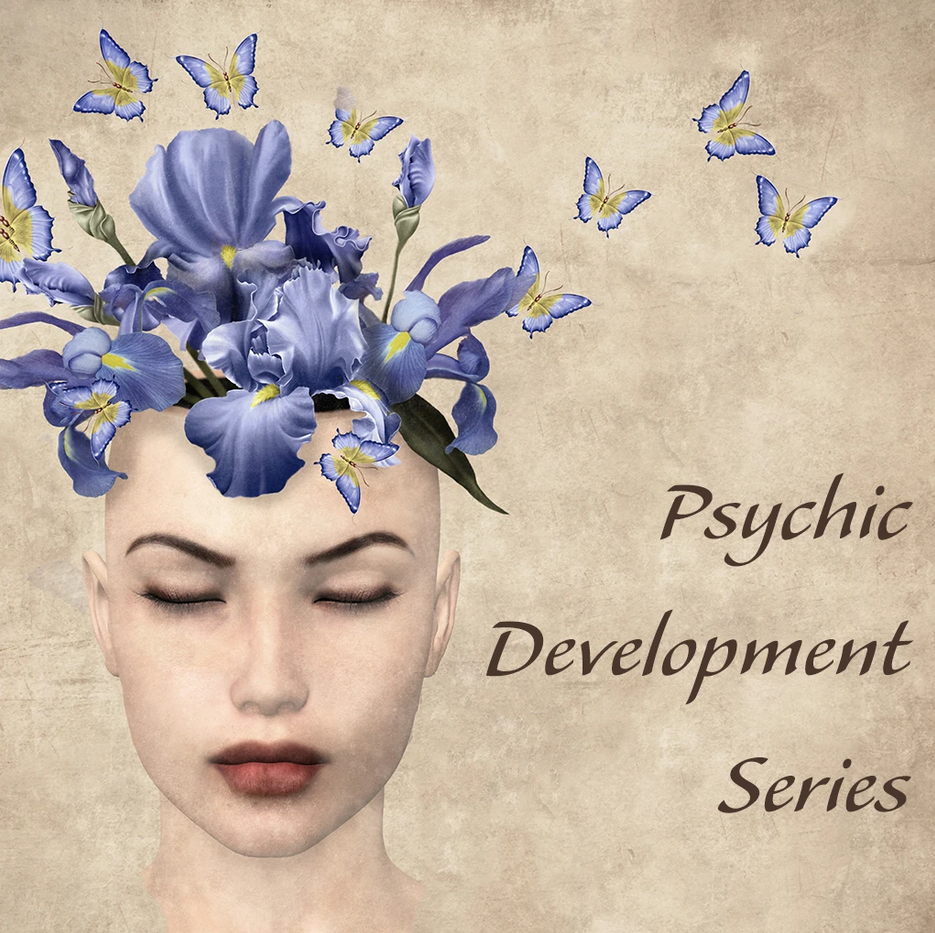 Tosha Silver - Psychic Development Series