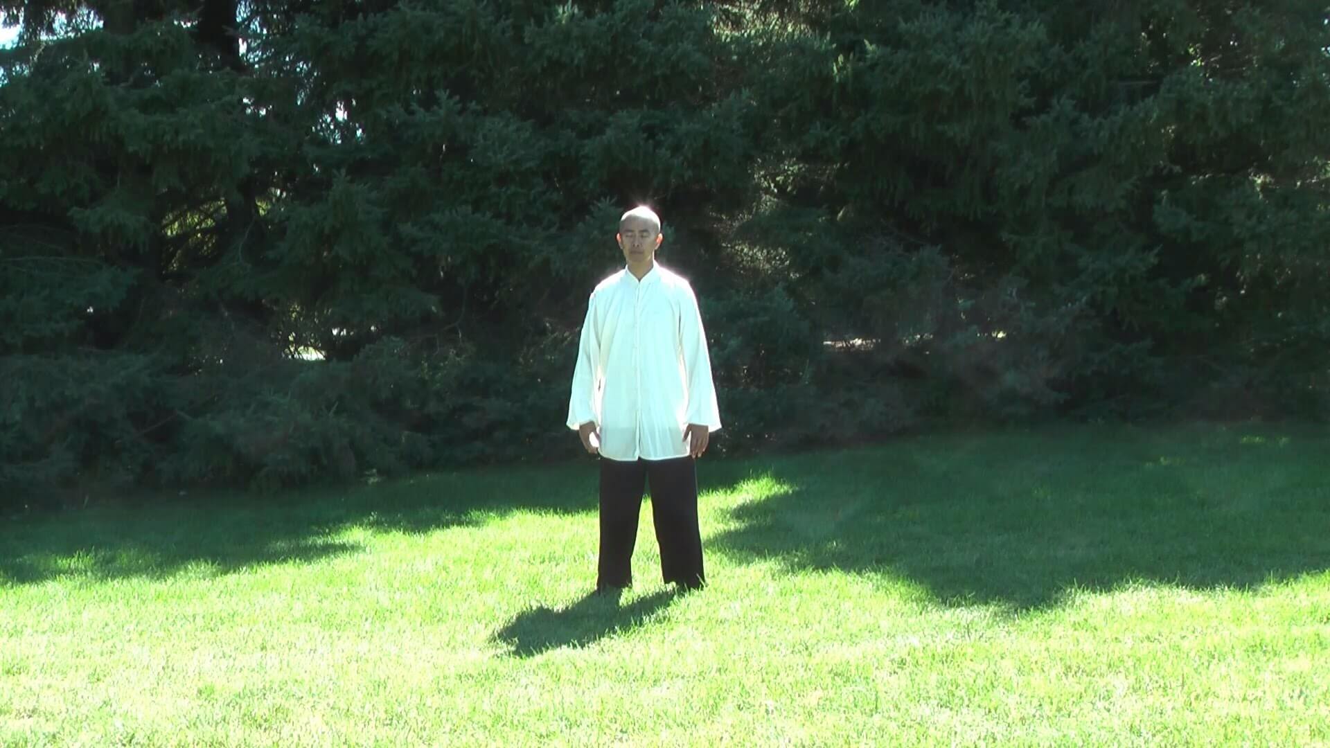 Wing Cheun - Tal Chi Qigong Shibashi ST Set 1