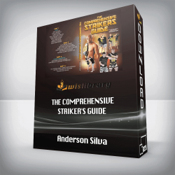 Anderson Silva - The Comprehensive Striker's Guide