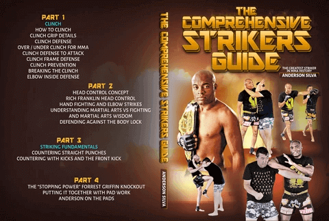 Anderson Silva - The Comprehensive Striker's Guide