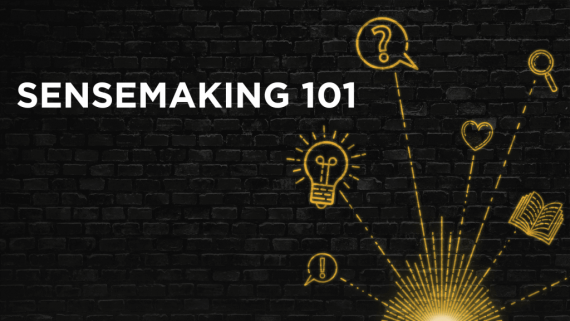 Rebel Wisdom - Sensemaking 101