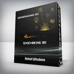 Rebel Wisdom - Sensemaking 101