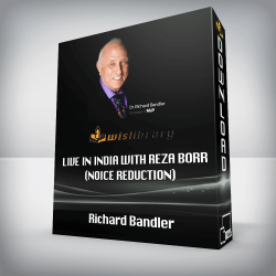 Richard Bandler - Live in India with Reza Borr (noice reduction)