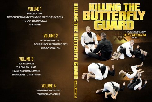 Andre Galvao - Killing The Butterfly Guard