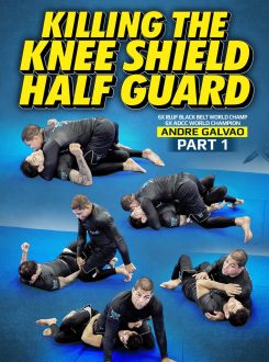 Andre Galvao - Killing The Knee Shield Half Guard