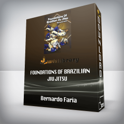 Bernardo Faria - Foundations of Brazilian Jiu Jitsu