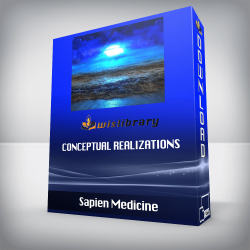 Sapien Medicine - Conceptual Realizations