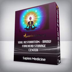 Sapien Medicine - Soul Restoration - Brow Forehead Storage Center