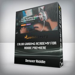 Denver Riddle - Color Grading Academy For Adobe Premiere