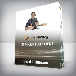 David Wallimann - 30 MAJOR BLUES LICKS