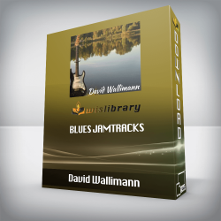 David Wallimann - BLUES JAMTRACKS