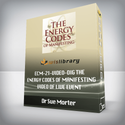 Dr Sue Morter - ECM-21-VIDEO-DIG The Energy Codes of Manifesting - Video of Live Event