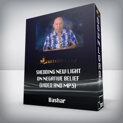 Bashar - Shedding New Light on Negative Belief (Video and MP3)