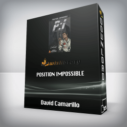 David Camarillo - Position Impossible