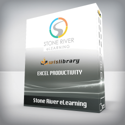 Stone River eLearning - Excel Productivity