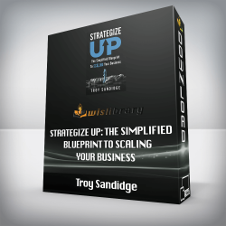 Troy Sandidge - Strategize Up: The Simplified Blueprint to Scaling Your Business