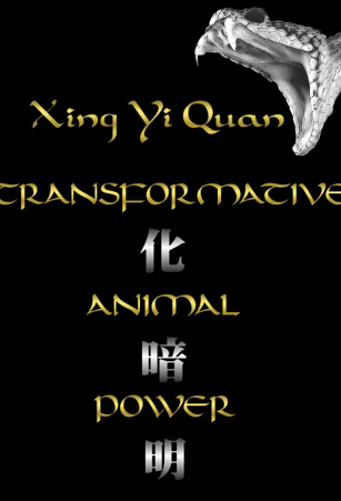 Scott Meredith - Xing Yi Transformative Animal Power