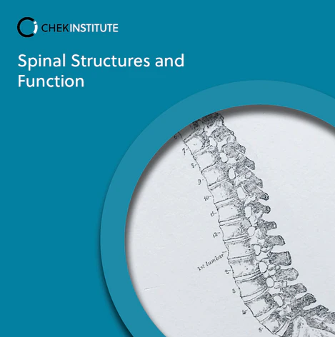 CHEK Institute - Spinal Structures & Function