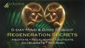 Judy Satori - Regeneration Secrets