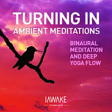 iAwake Technologies - Turning In - Ambient Meditations