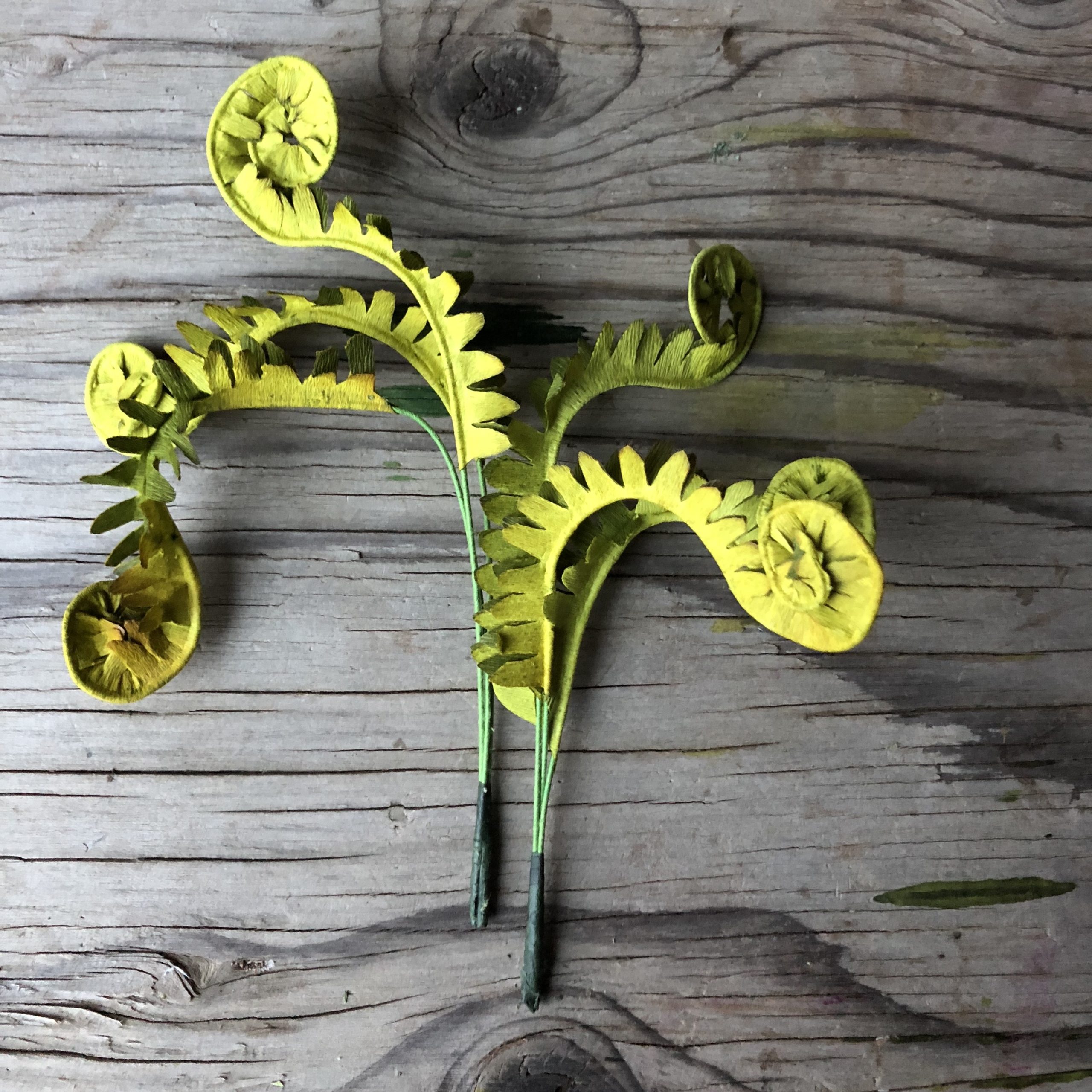 Amity Katharine Libby - Crepe Paper Doublette Fiddlehead Ferns