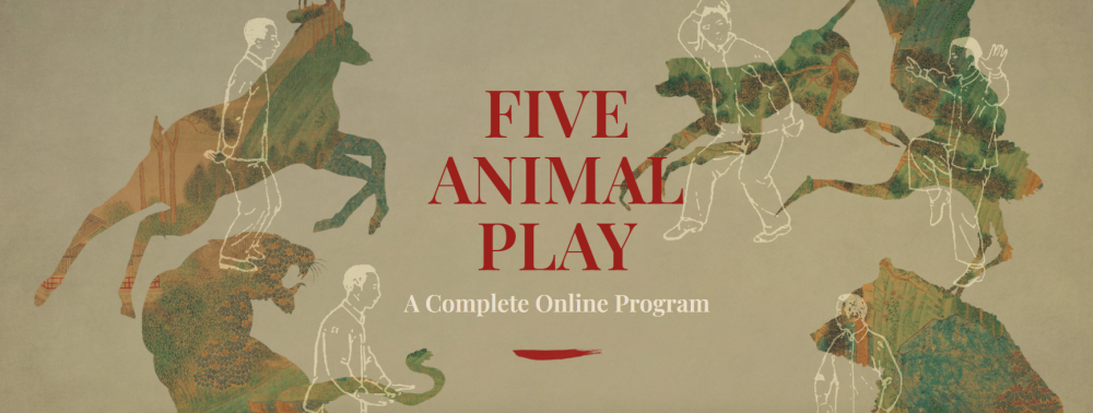 Tom Bisio - Five Animal Play Qi Gong