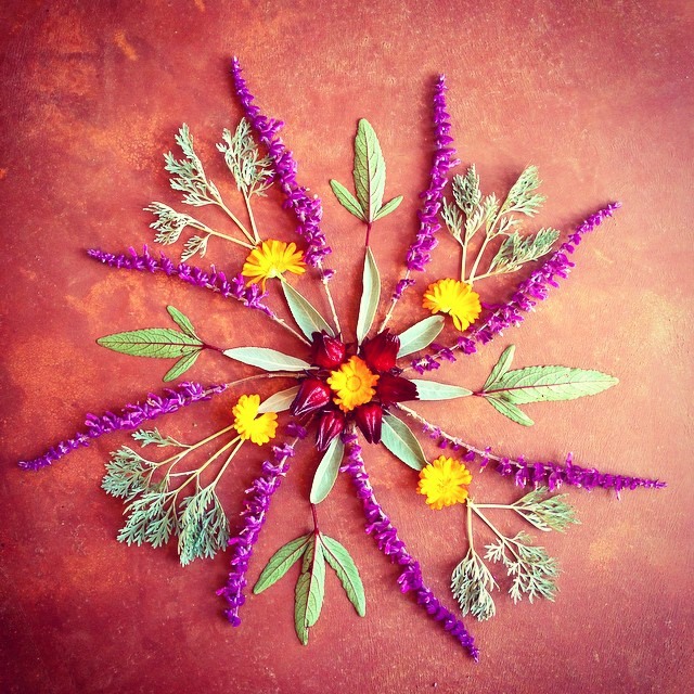 Herbal mandala.