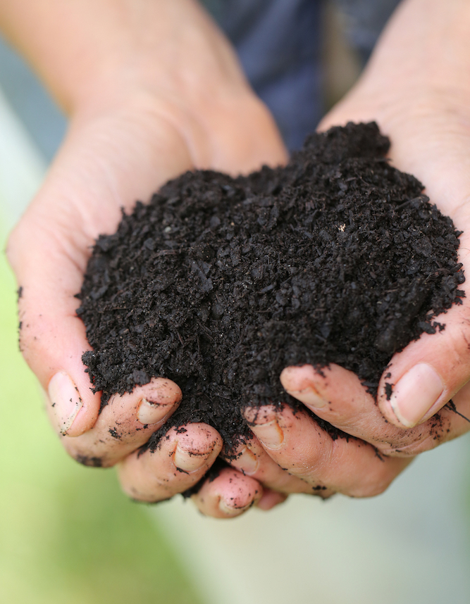 Hands holding finished compost.