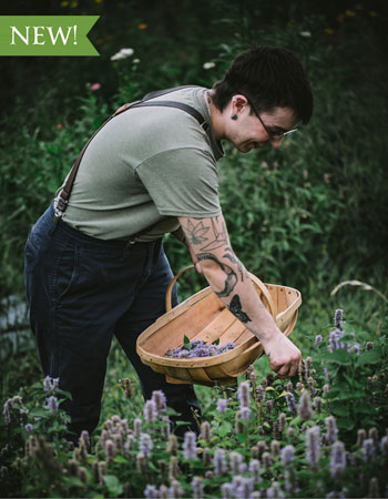 A person carrying a basket, picking herbs.