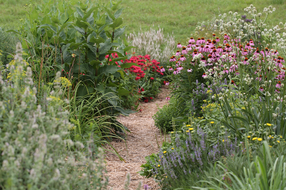 Juliet's former gardens.